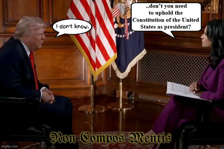 Non compos mentis | ..don’t you need to uphold the Constitution of the United States as president? I don't know. Non Compos Mentis | image tagged in non compos mentis,incompetent,dementia,lame duck brain,maga moron,meet the press kristen welker | made w/ Imgflip meme maker