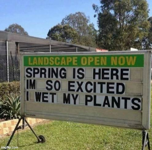 Spring | image tagged in memes,spring | made w/ Imgflip meme maker