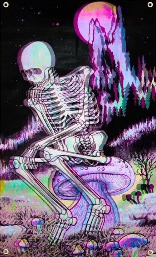 Acid Skeleton | image tagged in acid,lsd,trippy,skeleton,blur,neon | made w/ Imgflip meme maker