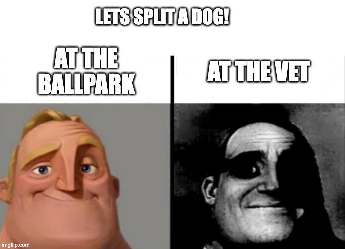 Extra ketchup on the side please | LETS SPLIT A DOG! AT THE BALLPARK; AT THE VET | image tagged in teacher's copy,mr incredible,hotdog | made w/ Imgflip meme maker
