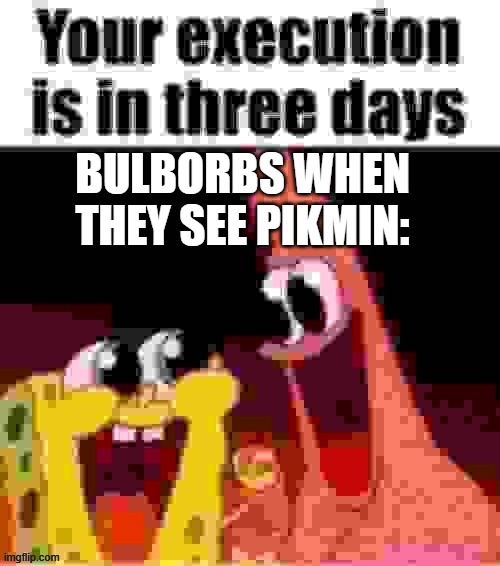 your execution is in three days | BULBORBS WHEN THEY SEE PIKMIN: | image tagged in your execution is in three days | made w/ Imgflip meme maker