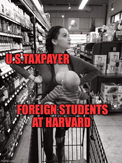 Let’s stop the insanity. Every dollar that goes to foreigners is being borrowed and subsidized by the US taxpayer. | U.S.TAXPAYER; FOREIGN STUDENTS AT HARVARD | image tagged in breast feeding,taxpayer,foreign students,harvard,subsidized | made w/ Imgflip meme maker