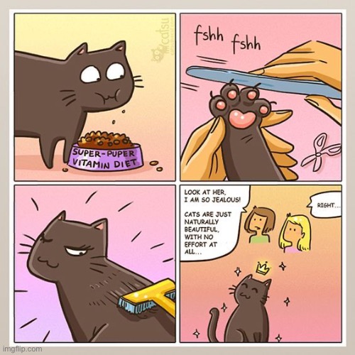 High maintenance never looked so effortless… | image tagged in cats,comics,high maintenance | made w/ Imgflip meme maker