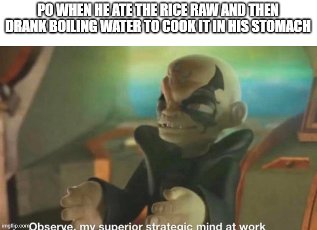 just rewatched the whole series, what was he thinking | PO WHEN HE ATE THE RICE RAW AND THEN DRANK BOILING WATER TO COOK IT IN HIS STOMACH | image tagged in observe my superior strategic mind at work kaos skylanders,kung fu panda | made w/ Imgflip meme maker