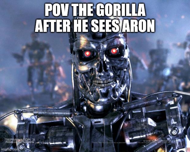 POV THE GORILLA AFTER HE SEES ARON | image tagged in terminator robot t-800 | made w/ Imgflip meme maker