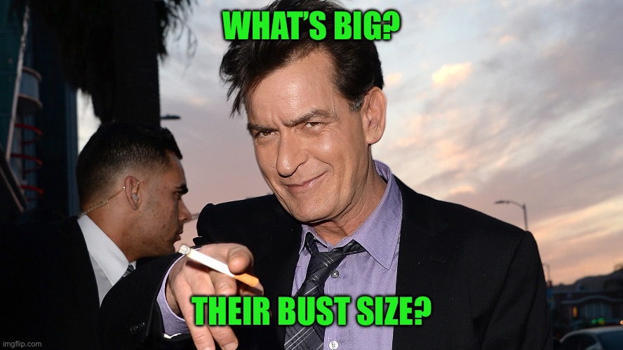 charlie sheen | WHAT’S BIG? THEIR BUST SIZE? | image tagged in charlie sheen | made w/ Imgflip meme maker