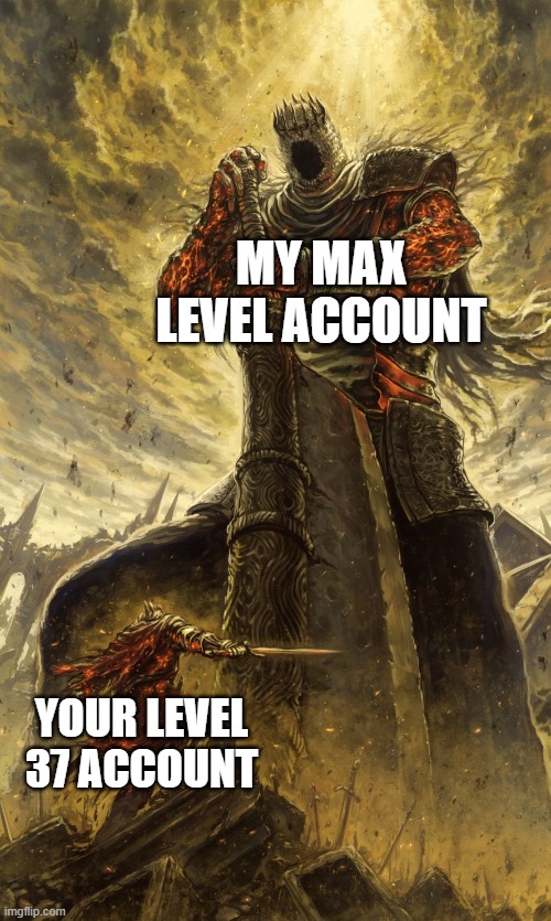 Max level vs low level | MY MAX LEVEL ACCOUNT; YOUR LEVEL 37 ACCOUNT | image tagged in yhorm dark souls,gaming,pc gaming,video games,fun | made w/ Imgflip meme maker