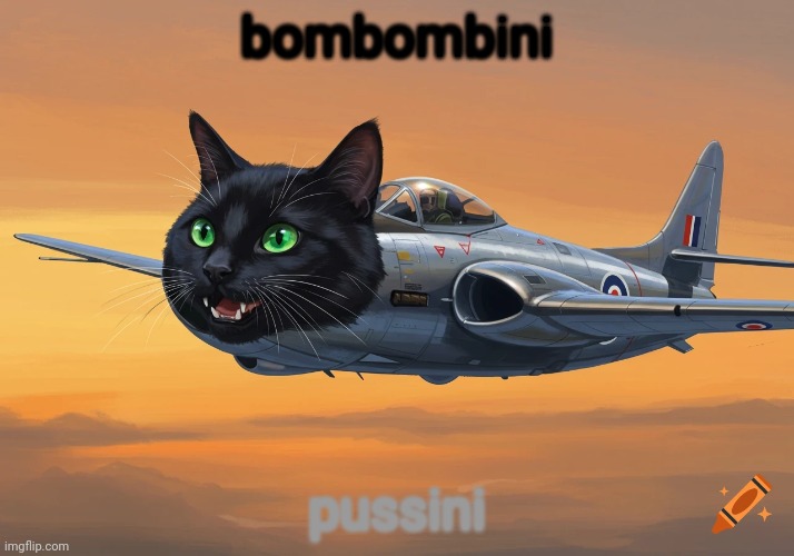 bombombini; pussini | made w/ Imgflip meme maker