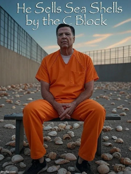 Comey for prison | image tagged in comey,criminal | made w/ Imgflip meme maker