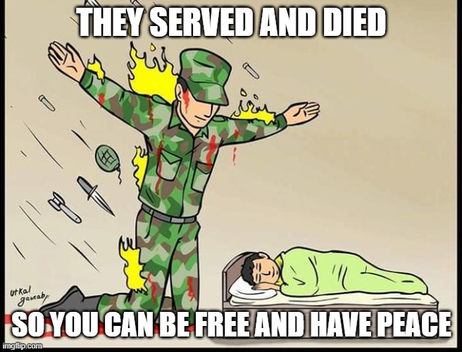 Let's have a happy Memorial Day and let's remember who helped make our lives easier. | THEY SERVED AND DIED; SO YOU CAN BE FREE AND HAVE PEACE | image tagged in silent protector,memorial day,army,marines,air force,navy | made w/ Imgflip meme maker