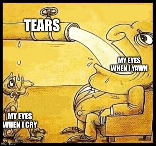 fat guy drinking water | TEARS; MY EYES WHEN I YAWN; MY EYES WHEN I CRY | image tagged in fat guy drinking water | made w/ Imgflip meme maker