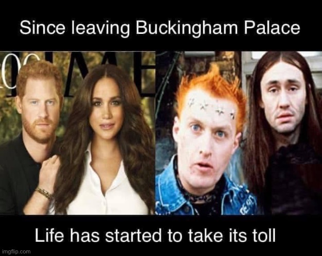 Not So Young Ones | image tagged in young,harry,meghan markle,viv,neil | made w/ Imgflip meme maker