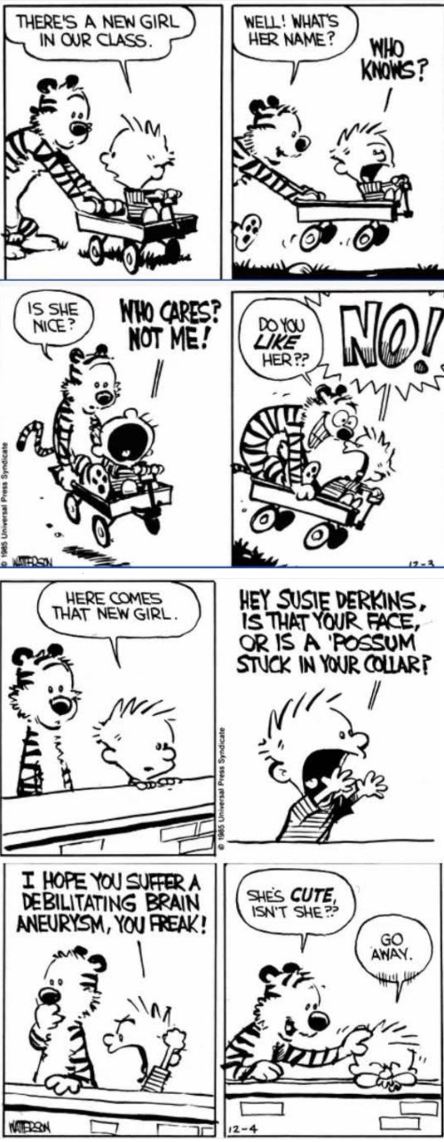 And So It Began | image tagged in true love,calvin and hobbes | made w/ Imgflip meme maker