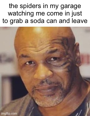 the spiders in my garage watching me come in just to grab a soda can and leave | made w/ Imgflip meme maker