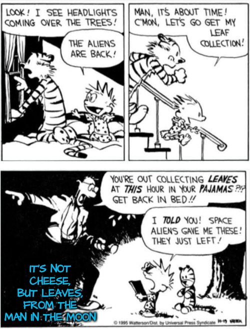 The Man in the Moon? | IT'S NOT CHEESE, BUT LEAVES, FROM THE MAN IN THE MOON | image tagged in aliens love leaves | made w/ Imgflip meme maker
