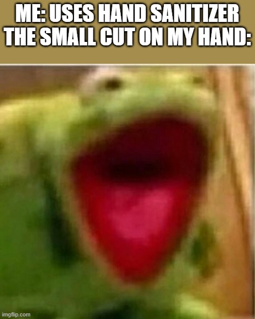Pain | ME: USES HAND SANITIZER
THE SMALL CUT ON MY HAND: | image tagged in ahhhhhhhhhhhhh,cut,hand sanitizer | made w/ Imgflip meme maker