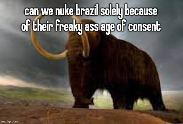 WiseMysticalMammoth 2: Electric Boogaloo | can we nuke brazil solely because of their freaky ass age of consent | image tagged in wisemysticalmammoth 2 electric boogaloo | made w/ Imgflip meme maker