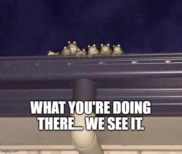 ISWYDT frogs | WHAT YOU'RE DOING THERE... WE SEE IT. | image tagged in i see what you did there | made w/ Imgflip meme maker