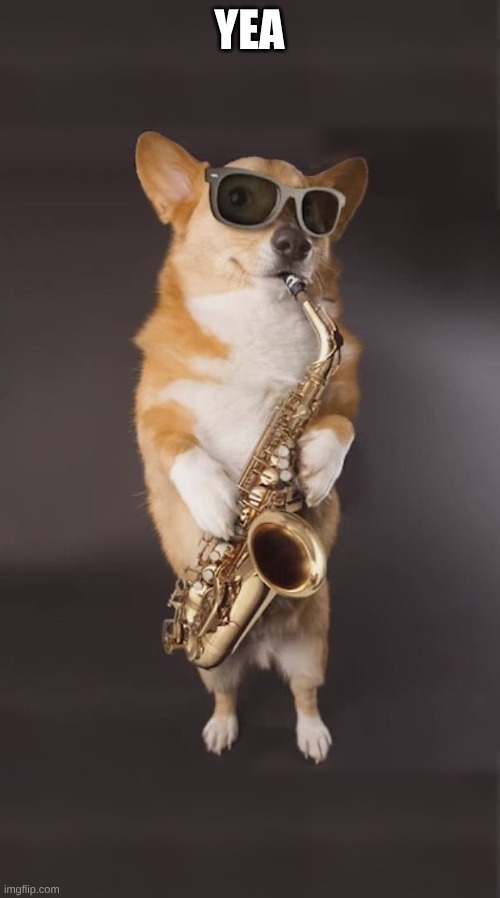 Corgi Saxophone | YEA | image tagged in corgi saxophone | made w/ Imgflip meme maker
