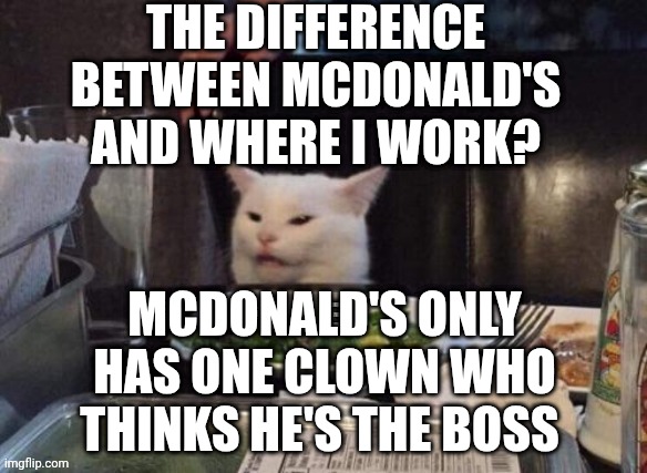 Smudge that darn cat | THE DIFFERENCE BETWEEN MCDONALD'S AND WHERE I WORK? MCDONALD'S ONLY HAS ONE CLOWN WHO THINKS HE'S THE BOSS | image tagged in smudge that darn cat | made w/ Imgflip meme maker