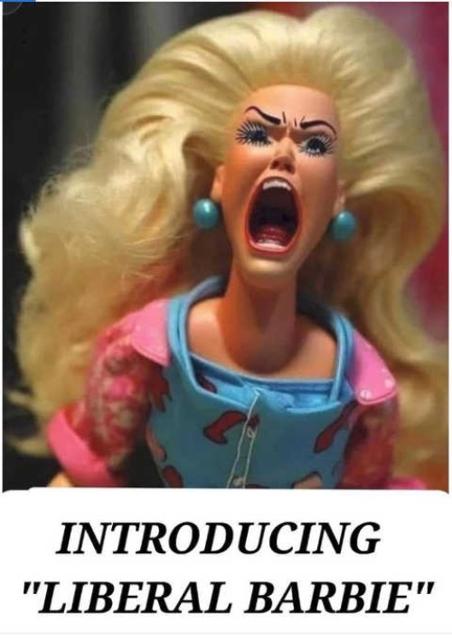 Liberal Barbie | image tagged in liberal privilege,barbie,libtards,crying democrats,liberal tears,malignant narcissism | made w/ Imgflip meme maker