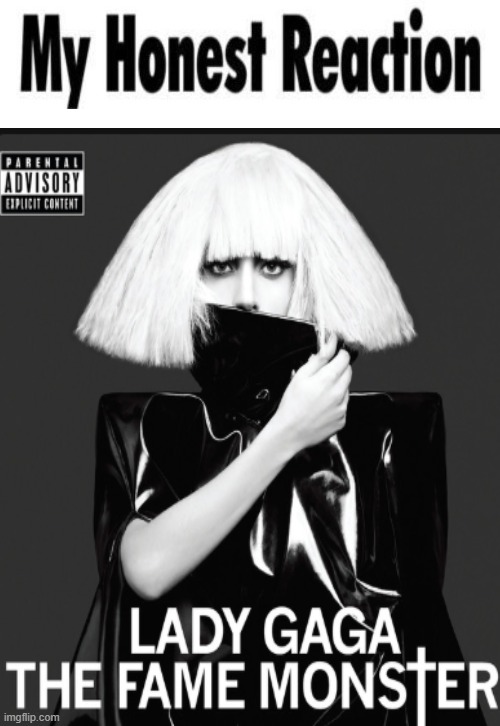 lady gaga - my honest reaction | image tagged in my honest reaction blank | made w/ Imgflip meme maker