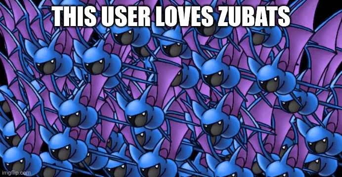 Pokemon unpopular opinion | THIS USER LOVES ZUBATS | image tagged in zubat legion,memes,pokemon memes,pokemon,zubat | made w/ Imgflip meme maker