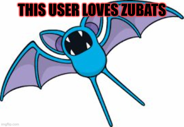 Sorry not | THIS USER LOVES ZUBATS | image tagged in zubat,memes,pokemon | made w/ Imgflip meme maker