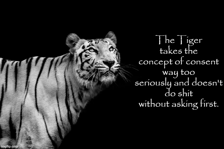 i am the tiger | made w/ Imgflip meme maker