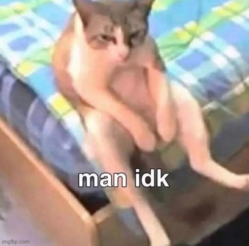 man idk | image tagged in man idk | made w/ Imgflip meme maker