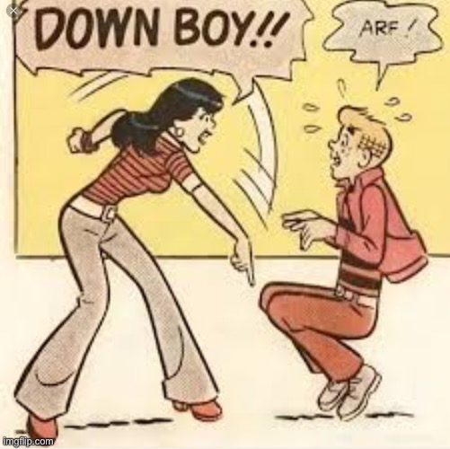 DOWN BOY | image tagged in down boy | made w/ Imgflip meme maker