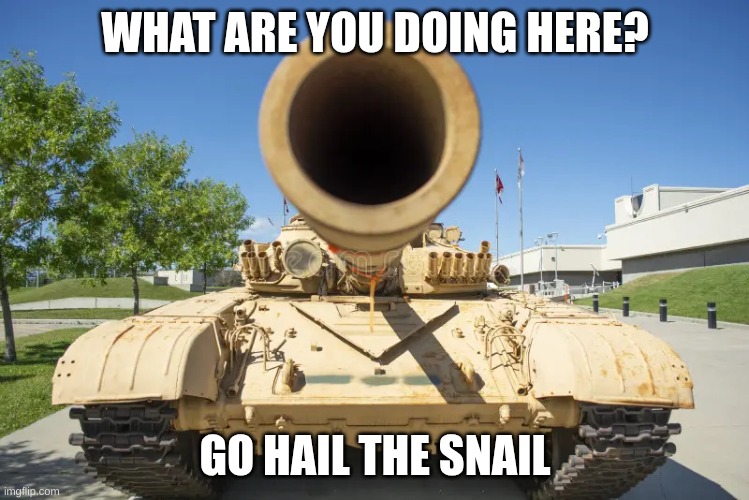 Tonk | WHAT ARE YOU DOING HERE? GO HAIL THE SNAIL | image tagged in tonk | made w/ Imgflip meme maker