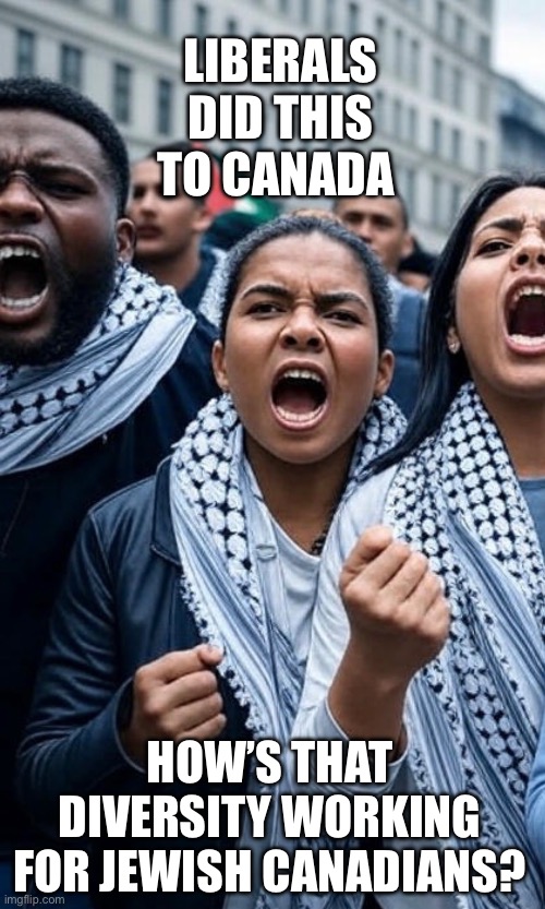 CanadaRising | LIBERALS DID THIS TO CANADA; HOW’S THAT DIVERSITY WORKING FOR JEWISH CANADIANS? | image tagged in canadian politics | made w/ Imgflip meme maker