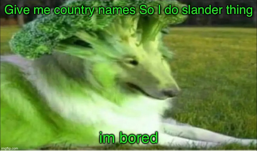 Broco dogo | Give me country names So I do slander thing; im bored | image tagged in broco dogo | made w/ Imgflip meme maker