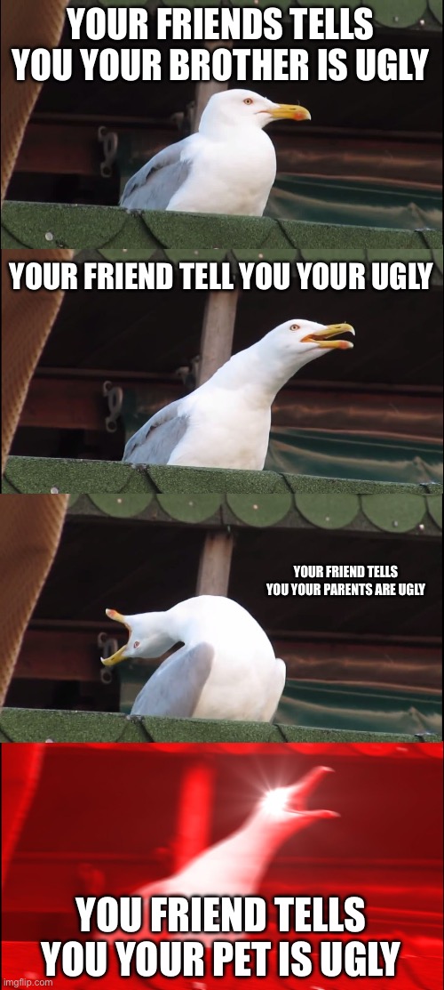 We your friend calls you’re… ugly | YOUR FRIENDS TELLS YOU YOUR BROTHER IS UGLY; YOUR FRIEND TELL YOU YOUR UGLY; YOUR FRIEND TELLS YOU YOUR PARENTS ARE UGLY; YOU FRIEND TELLS YOU YOUR PET IS UGLY | image tagged in memes,inhaling seagull | made w/ Imgflip meme maker