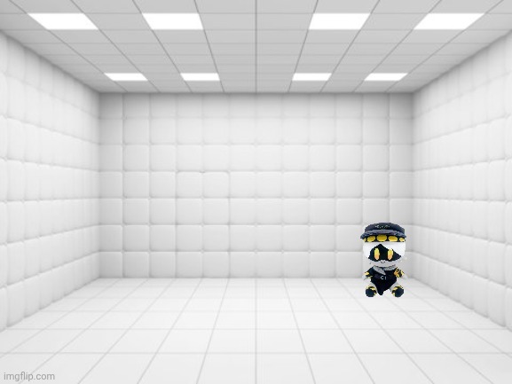 He got too silly | image tagged in padded cell | made w/ Imgflip meme maker