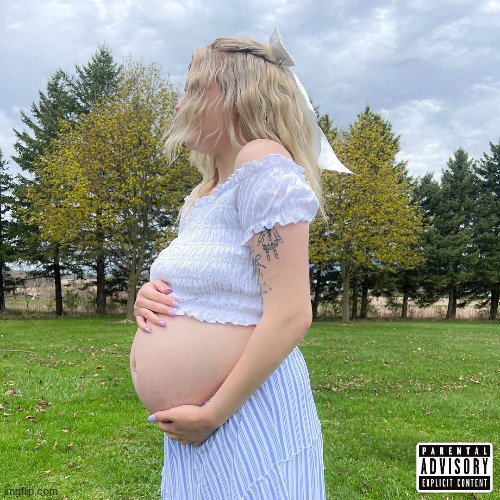 proof that anything can be an album cover pt. 19 | image tagged in pregnant,album | made w/ Imgflip meme maker