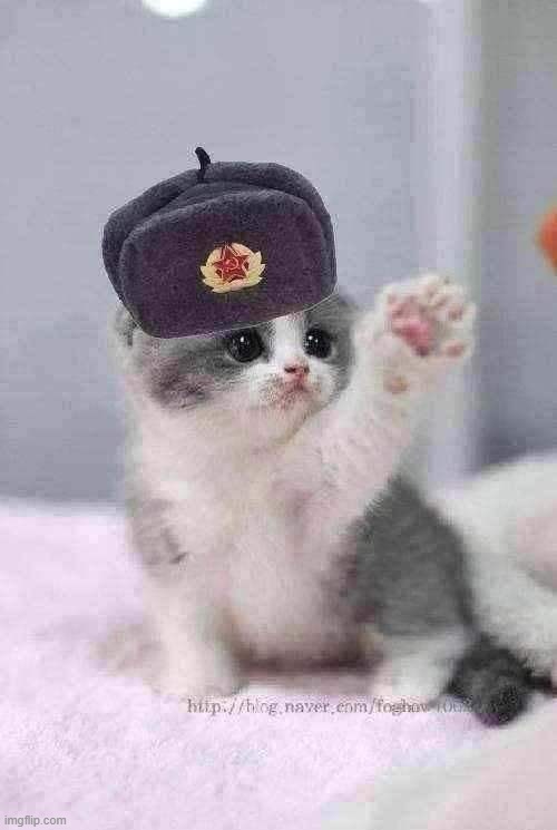 image tagged in cats,memes,funny,meme,hitler,communism | made w/ Imgflip meme maker