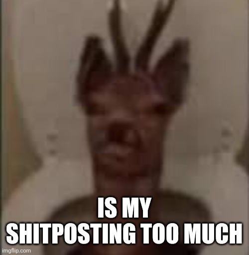 /j /j /j /j /j | IS MY SHITPOSTING TOO MUCH | image tagged in /j /j /j /j /j | made w/ Imgflip meme maker