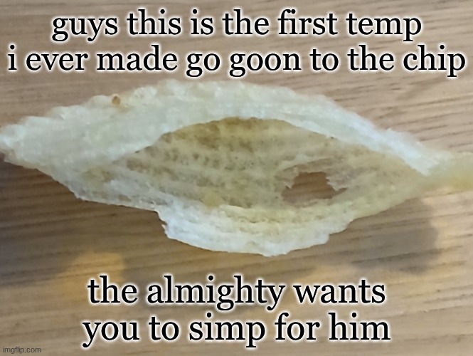 Chip | guys this is the first temp i ever made go goon to the chip; the almighty wants you to simp for him | image tagged in chip | made w/ Imgflip meme maker