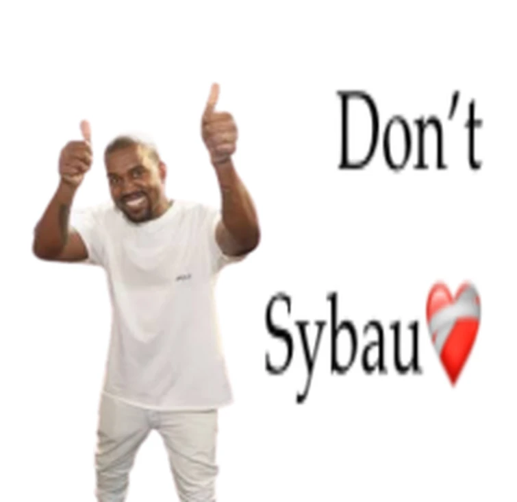 Don't Sybau Blank Meme Template