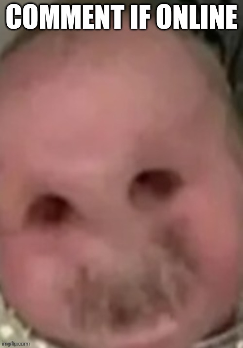 baby | COMMENT IF ONLINE | image tagged in baby | made w/ Imgflip meme maker