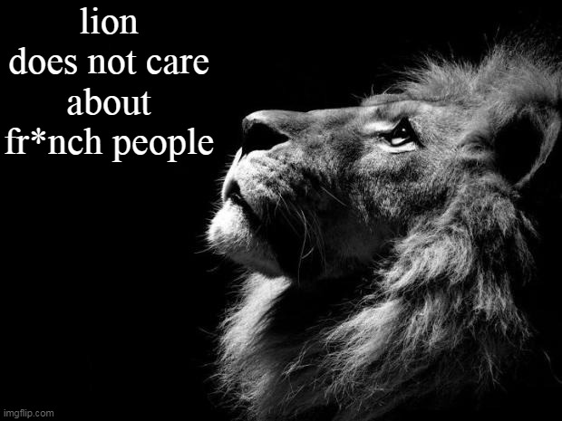 sad lion | lion does not care about fr*nch people | image tagged in sad lion | made w/ Imgflip meme maker