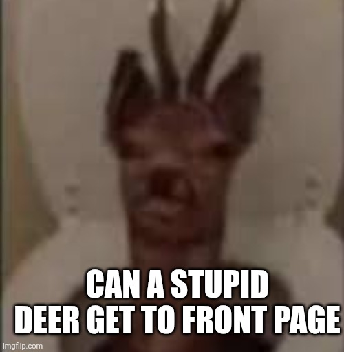 /j /j /j /j /j | CAN A STUPID DEER GET TO FRONT PAGE | image tagged in /j /j /j /j /j | made w/ Imgflip meme maker