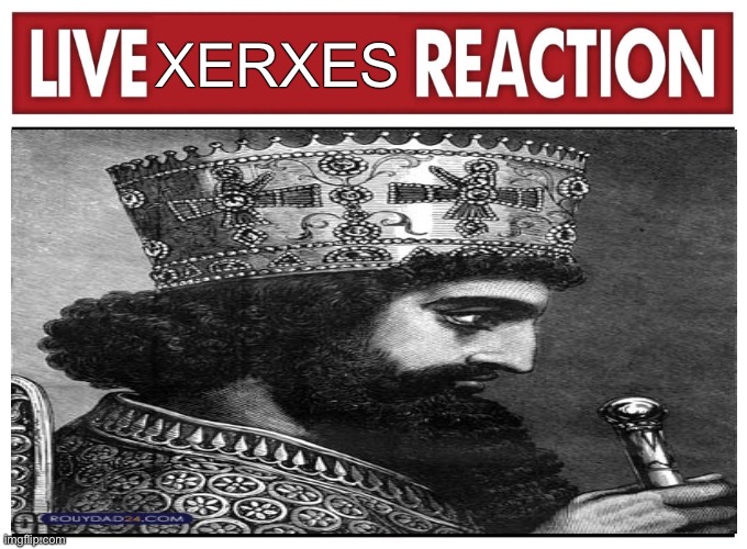 Live reaction | XERXES | image tagged in live reaction | made w/ Imgflip meme maker