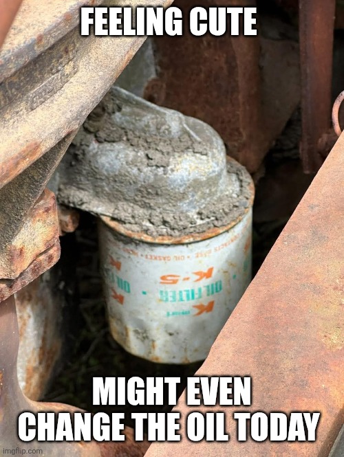 Kmart | FEELING CUTE; MIGHT EVEN CHANGE THE OIL TODAY | image tagged in service | made w/ Imgflip meme maker