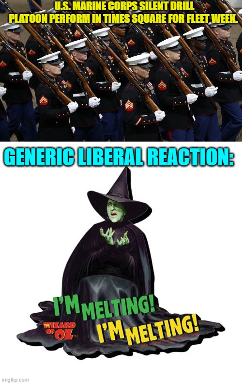 Sadly . . . yes. | U.S. MARINE CORPS SILENT DRILL PLATOON PERFORM IN TIMES SQUARE FOR FLEET WEEK. GENERIC LIBERAL REACTION: | image tagged in yep | made w/ Imgflip meme maker