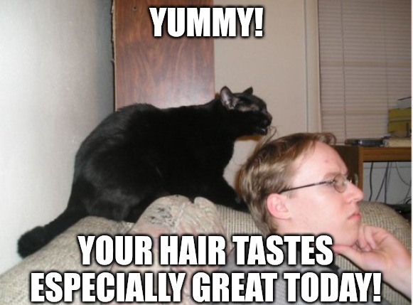 YUMMY! YOUR HAIR TASTES ESPECIALLY GREAT TODAY! | made w/ Imgflip meme maker