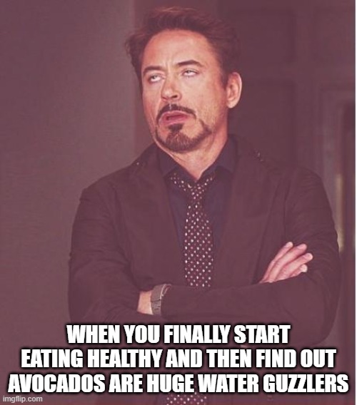 Face You Make Robert Downey Jr | WHEN YOU FINALLY START EATING HEALTHY AND THEN FIND OUT AVOCADOS ARE HUGE WATER GUZZLERS | image tagged in memes,face you make robert downey jr | made w/ Imgflip meme maker