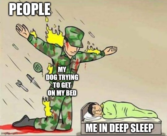 Soldier protecting sleeping child | PEOPLE; MY DOG TRYING TO GET ON MY BED; ME IN DEEP SLEEP | image tagged in soldier protecting sleeping child | made w/ Imgflip meme maker